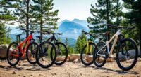 affordable mountain bike options
