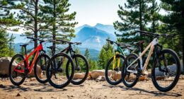 affordable mountain bike options