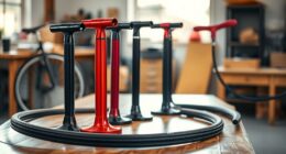affordable quality bike pumps