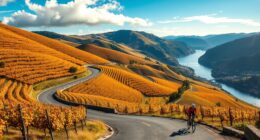 douro valley cycling adventure