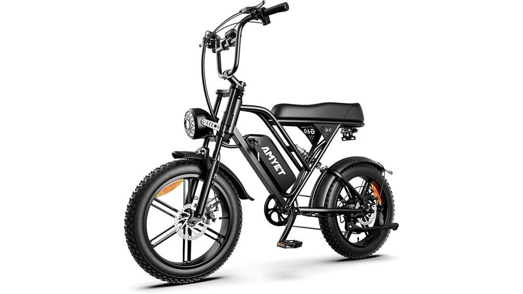 powerful removable battery ebike