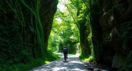 scenic biking adventure awaits