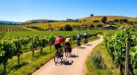 wine cycling adventure awaits