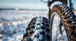 winter bike tire recommendations