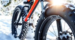 winter fat bike tires