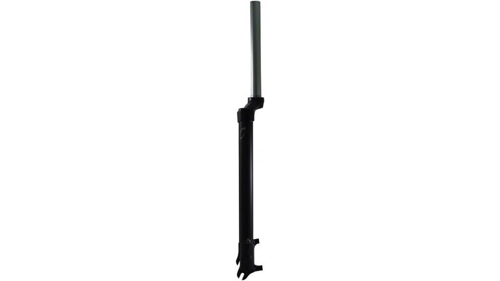 black carbon disc fork