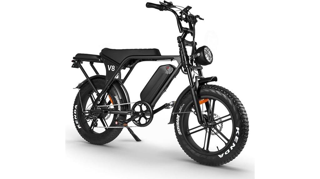 electric fat tire bike