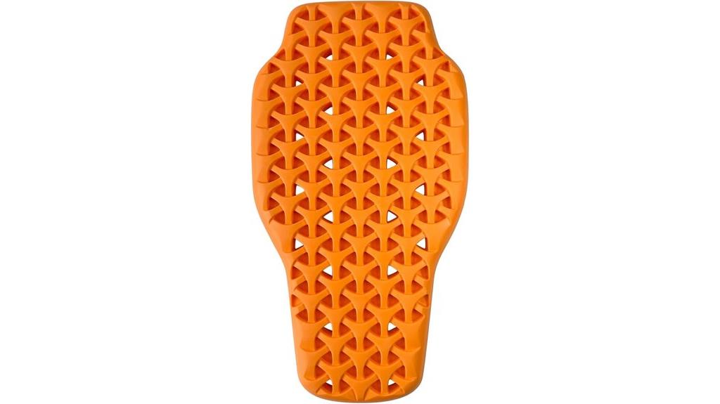 motorcycle back protector armor