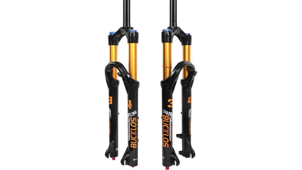 mountain bike air fork