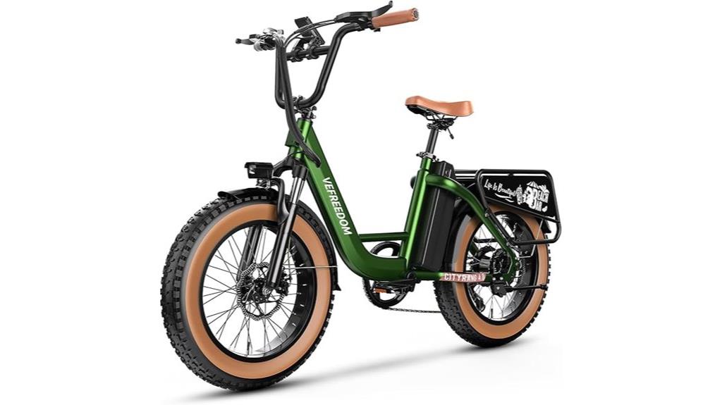 powerful adult electric bike