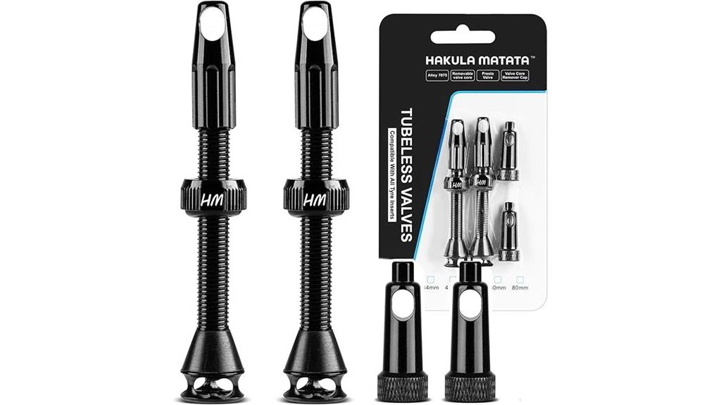 tubeless valve with core
