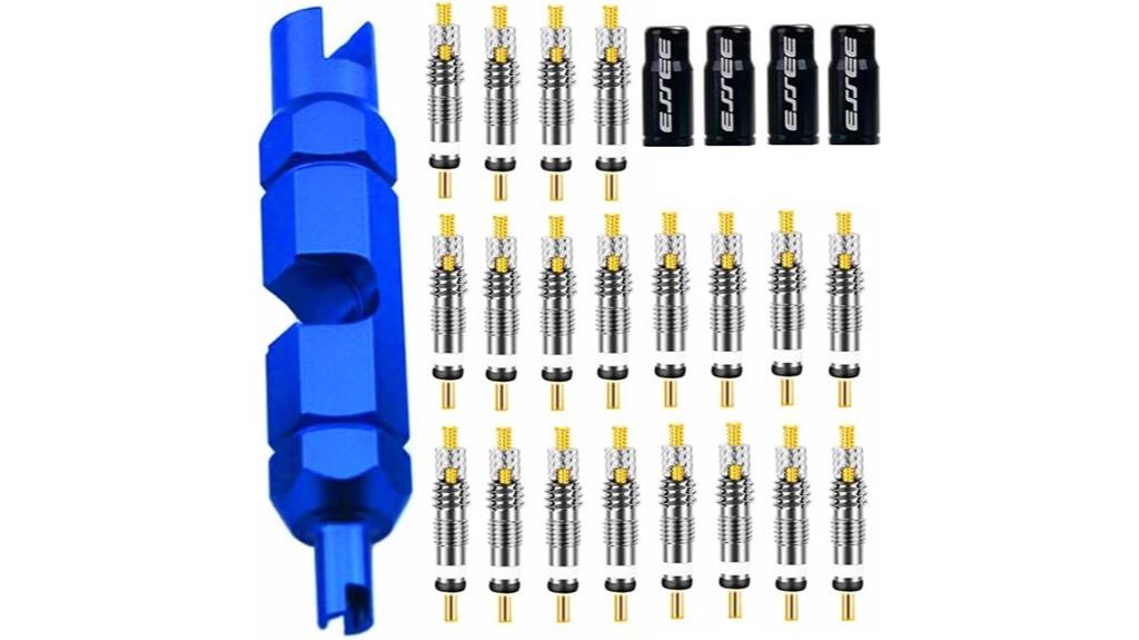 valve cores and caps