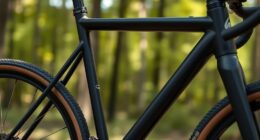 bikepacking frame geometry