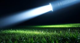 brightness focus duration