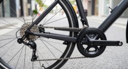 advantages and disadvantages overview