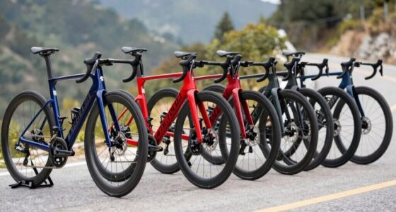 top 9 affordable endurance bikes