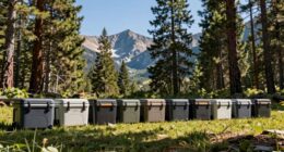 top bear resistant cooler picks