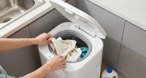12 Best Portable Washing Machines for Apartments in 2026