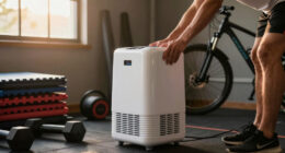 6 Best Dehumidifiers for Pain Caves in 2026