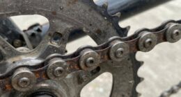 chain stretch maintenance costs