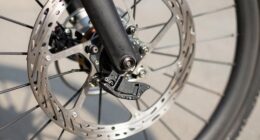 disc brake squeal recurrence