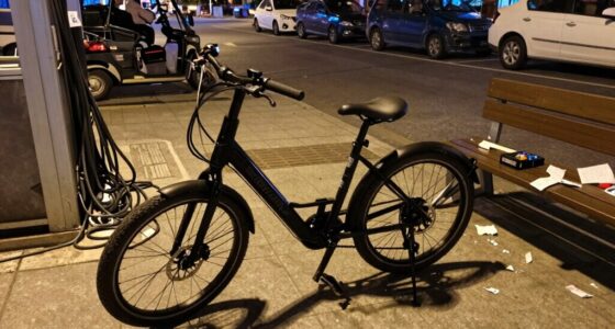 e bike daily expenses factors