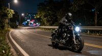 enjoyment of nocturnal journeys