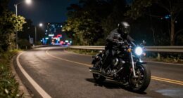 enjoyment of nocturnal journeys