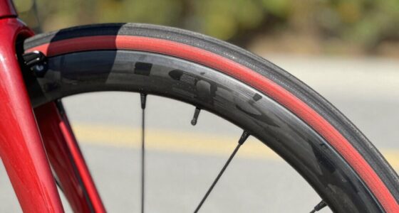 protects tire and rim