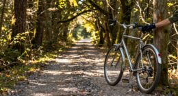 reignite your riding passion