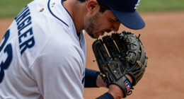 Tigers' Dillon Dingler leaves game with apparent hand injury